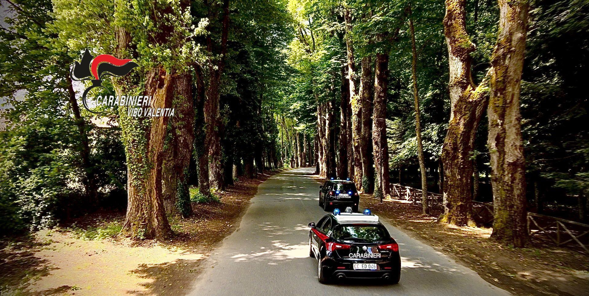 In casa con una pistola, un arresto nel Vibonese