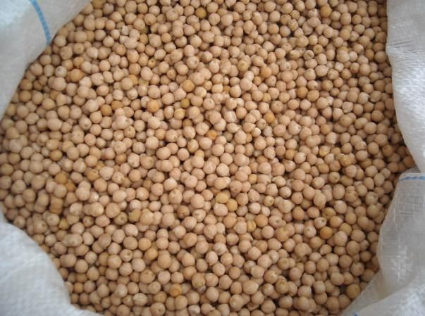 I ceci nostrani, eccellenza del Pollino