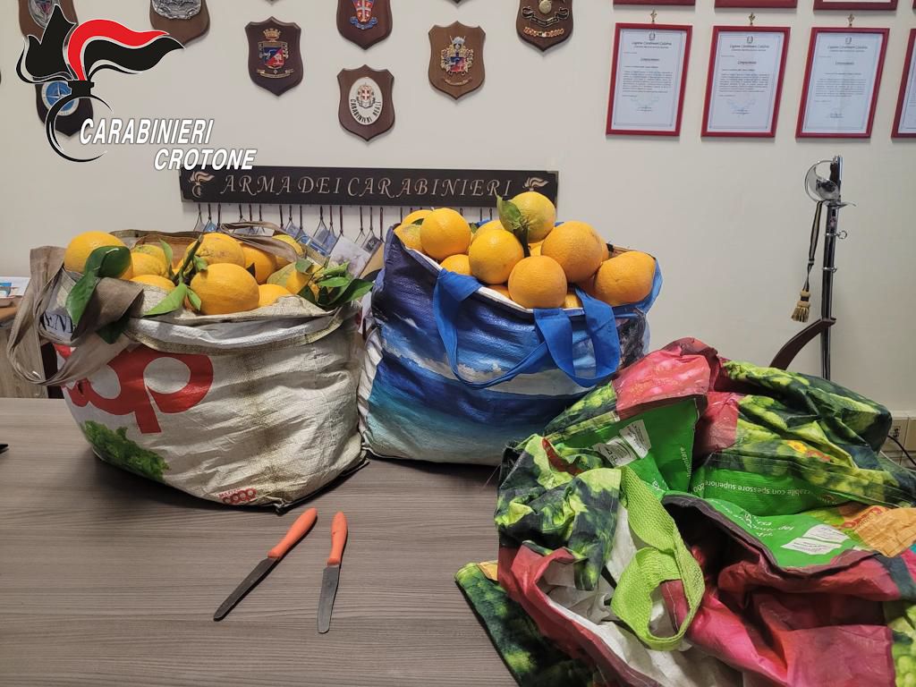 Furto in un fondo agricolo, due arresti nel Crotonese
