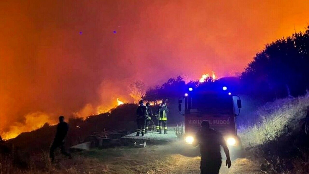 «Incendi in Calabria come atti di terrorismo». La petizione supera le 44mila firme