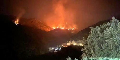 incendi aspromonte