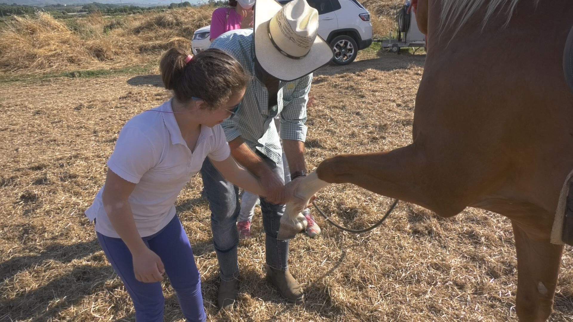 A Lamezia la campagna “coltiva” valori