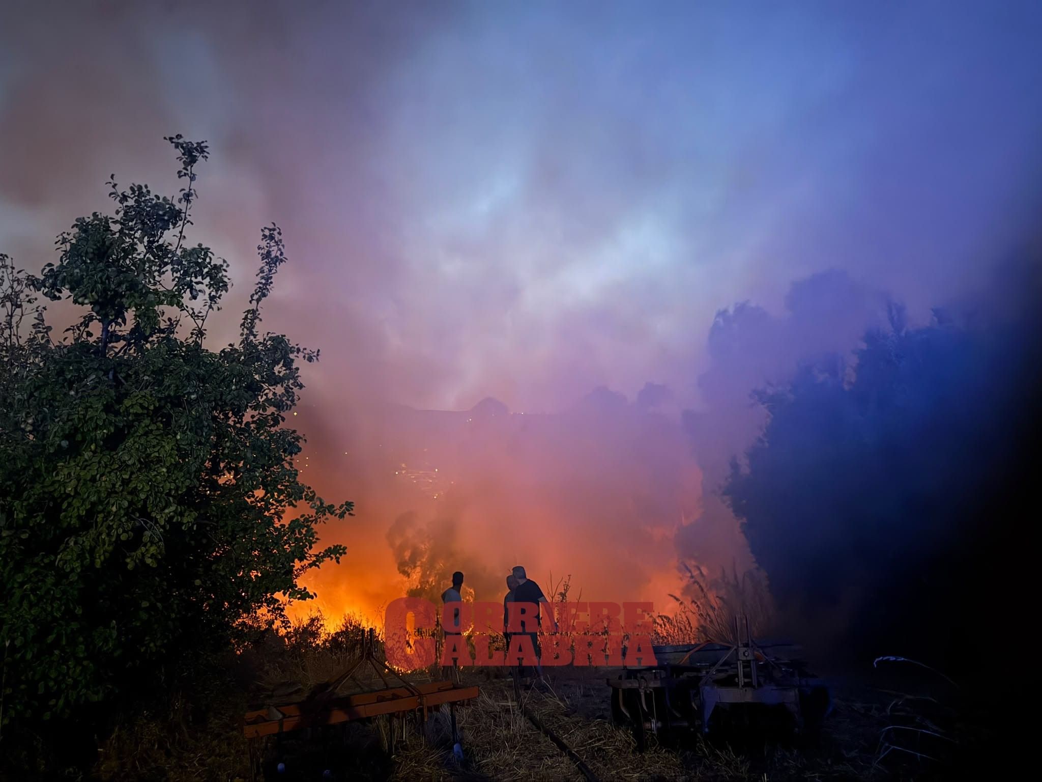 Incendi in Calabria: un’estate da incubo