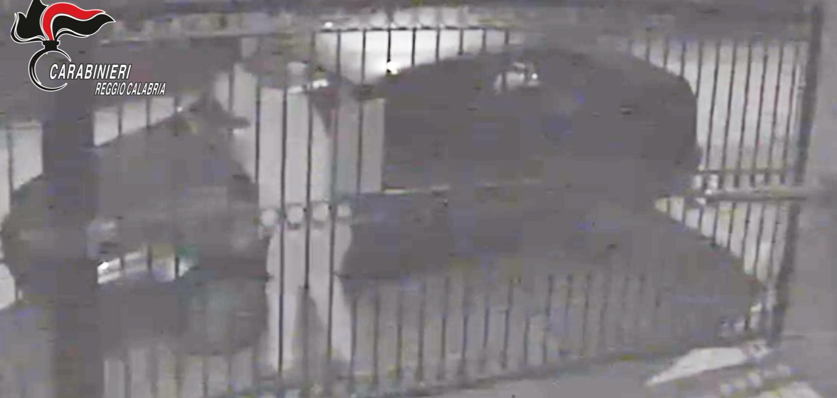 Serial incendiario nel Reggino, convalidato il fermo. L’uomo mosso dal desiderio di vendetta – VIDEO