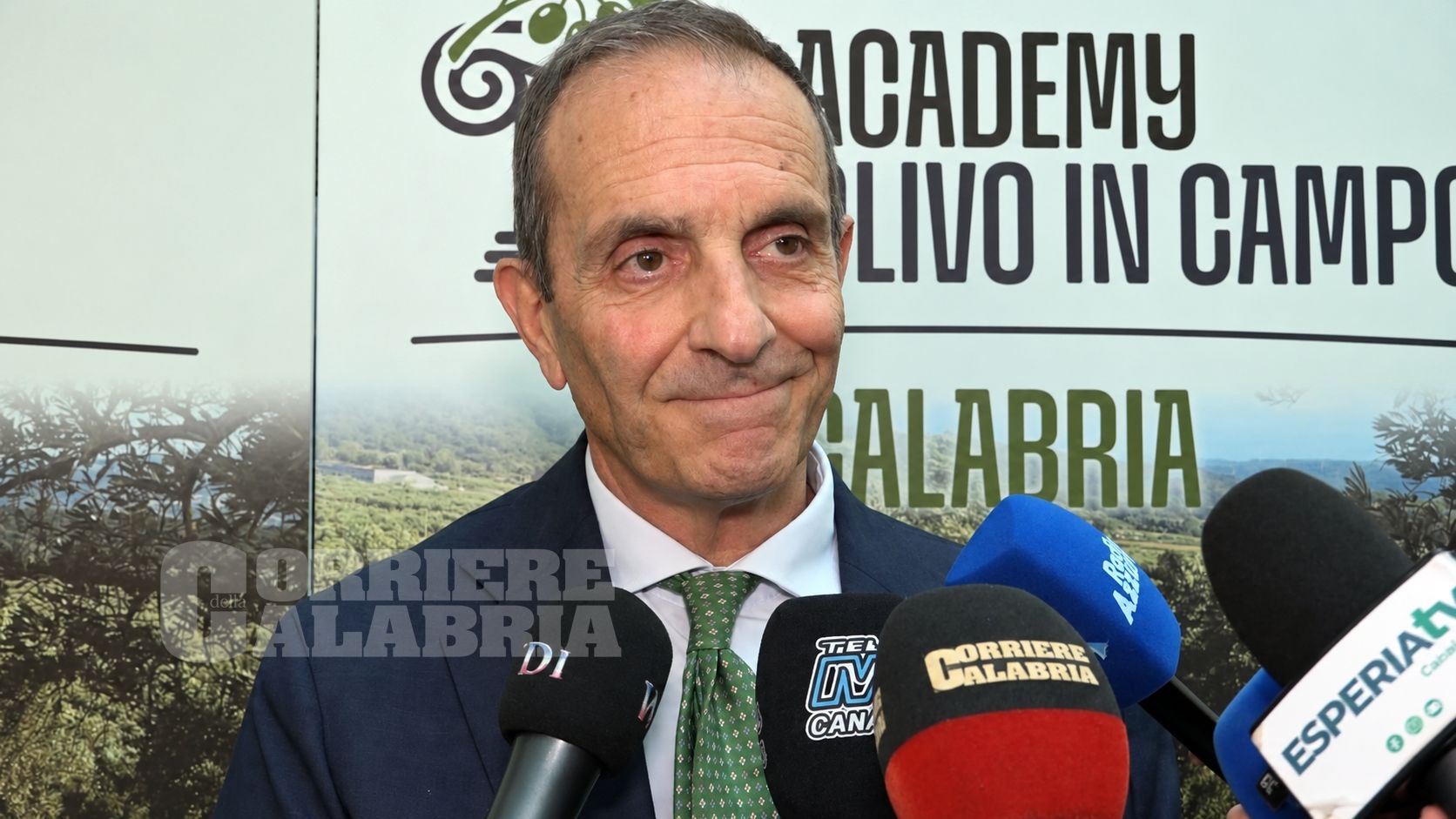 Olio, la Calabria alla prova della “nuova” olivicoltura