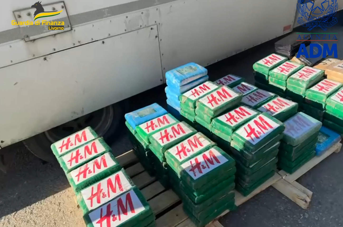Sequestrati 217 chili di cocaina nel porto di Livorno. La droga era diretta in Calabria – FOTO E VIDEO