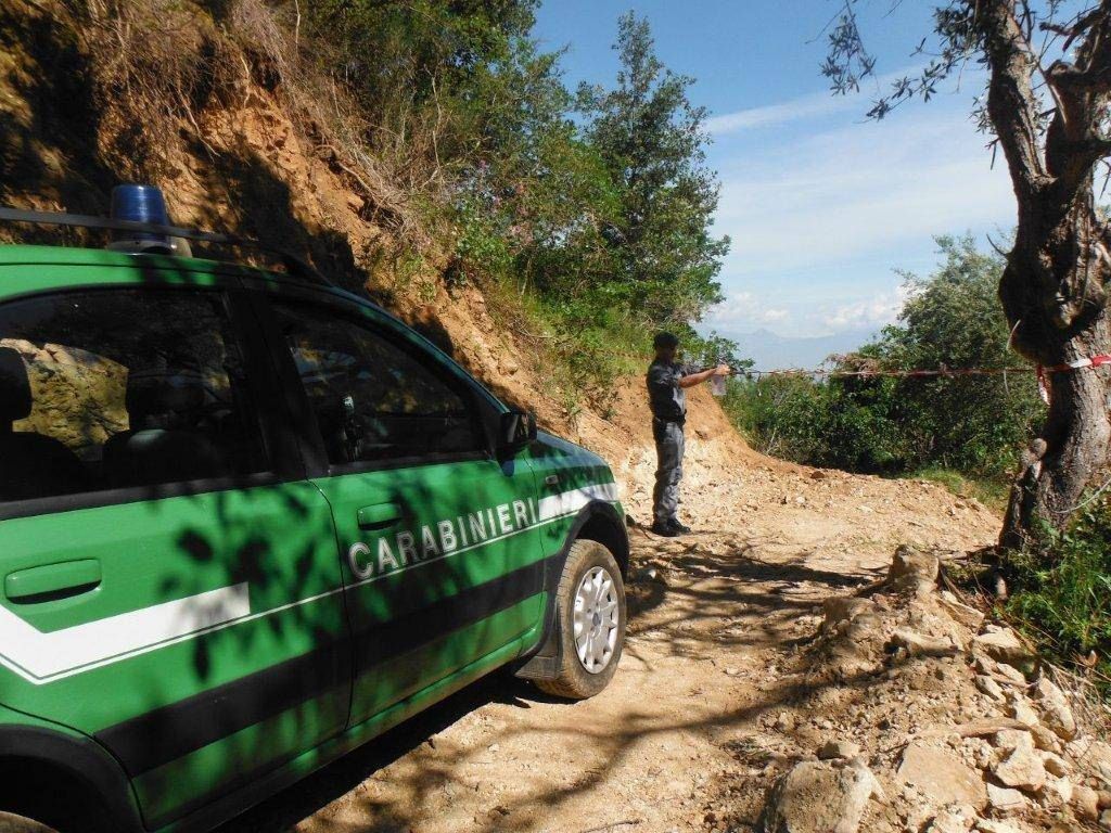 Deviano il corso di un torrente nei boschi del Cosentino, denunciati