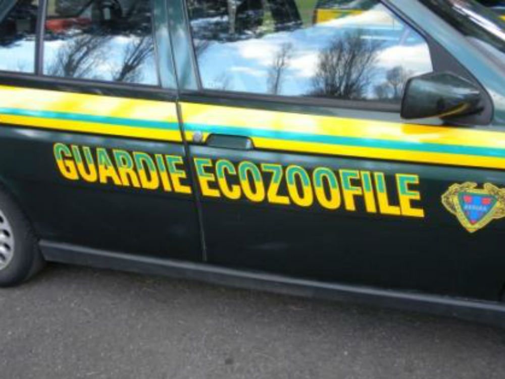 Catanzaro, lettera minatoria alle guardie ecozoofile