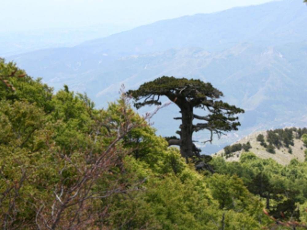 A due esperienze calabresi l'Oscar dell'Ecoturismo 2019
