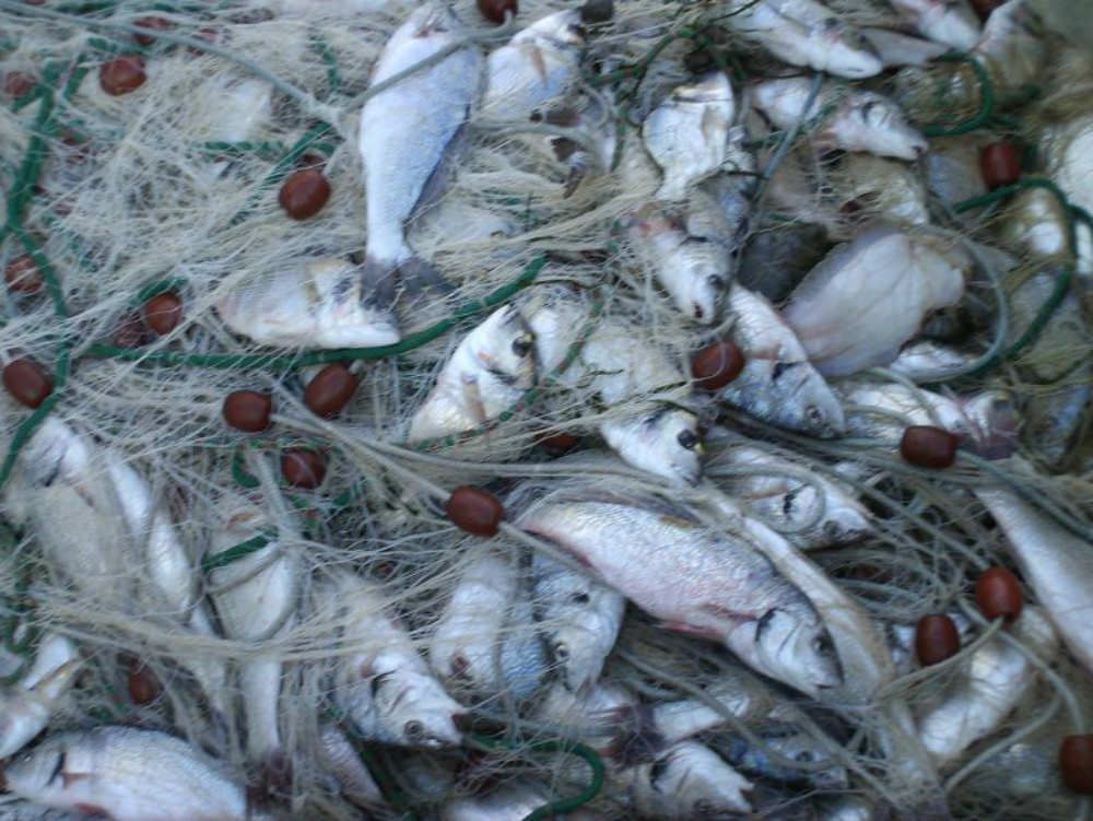 Pesca, la Cgil chiede lo stato di crisi