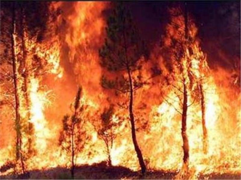 Incendi boschivi a Rossano, due arresti