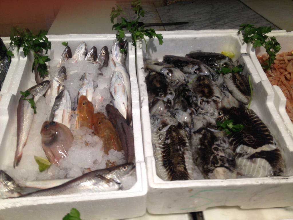 Controlli nelle pescherie lametine, 15 irregolari