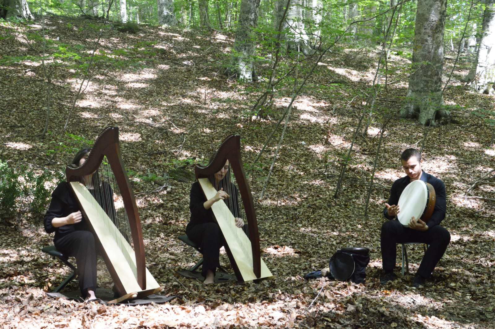 Festival delle Erranze e della Filoxenia, gli ultimi appuntamenti