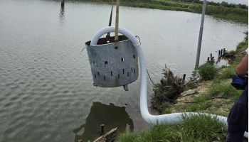 Sibari, riprese le operazioni di svuotamento dell’area archeologica di Casabianca