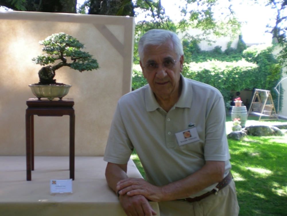 I segreti di un amore  da coltivare in miniatura