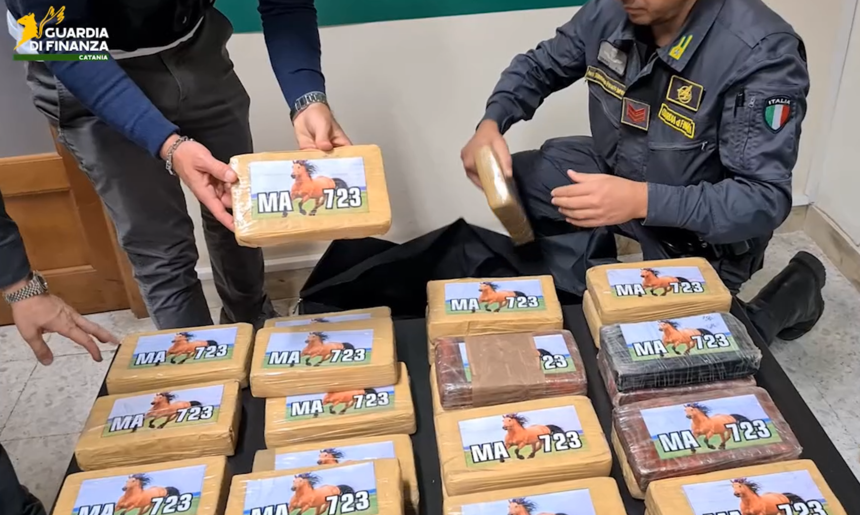 ‘Ndrangheta, chat criptate e “tassa” del 40%: la scalata dei broker calabresi al porto di Catania