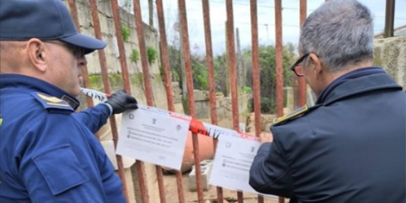 Corigliano-Rossano, sequestrati 7 cani e 60 gatti: una persona indagata