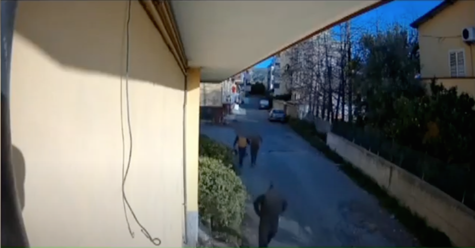 Sequestro di persona a scopo di estorsione, rapina e lesioni: cinque arresti a Crotone – VIDEO E NOMI