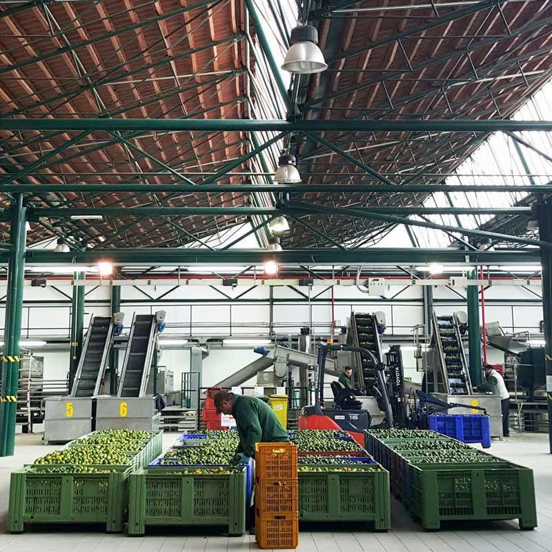 Anche il calabrese Capua tra i 25 nuovi Cavalieri del Lavoro