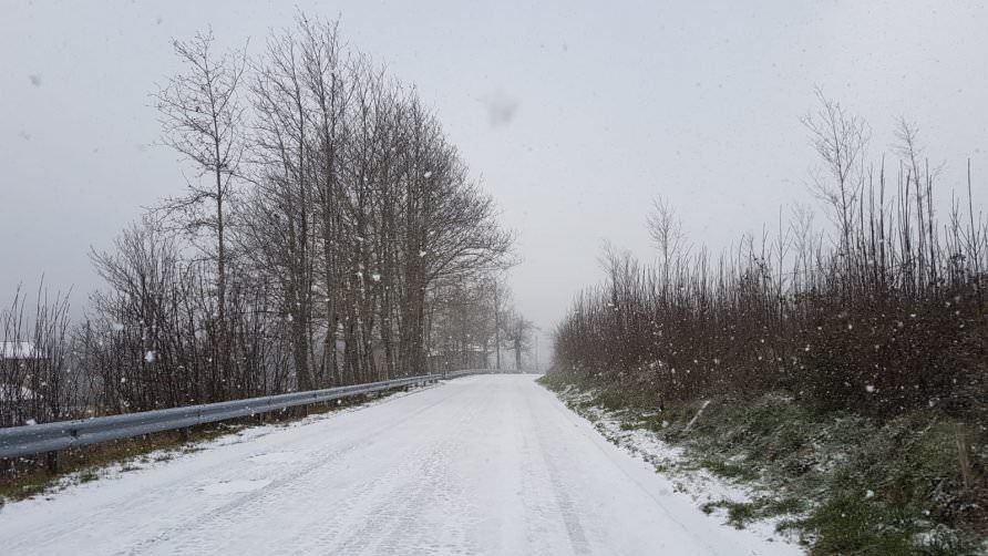 Bloccati dalla neve nelle Serre, salvi padre e figlio