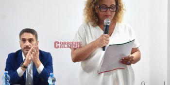 Pd vibonese nel caos tra tensioni e liti interne: in 39 contro la segretaria provinciale Teresa Esposito