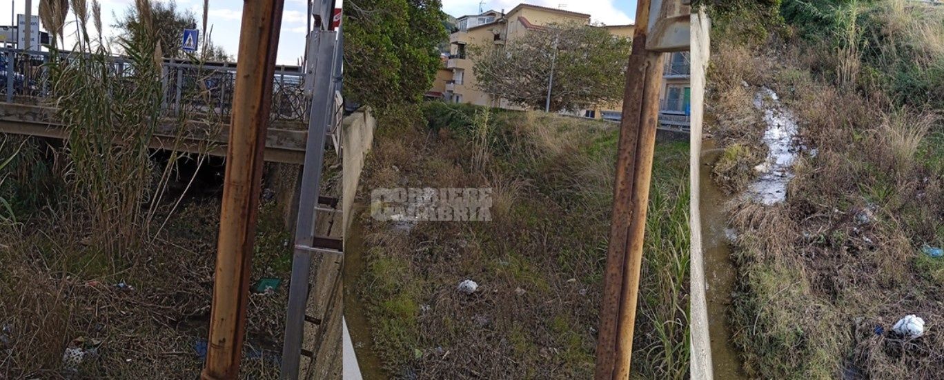 Degrado e abbandono del torrente Grima tra Falerna e Gizzeria – FOTO