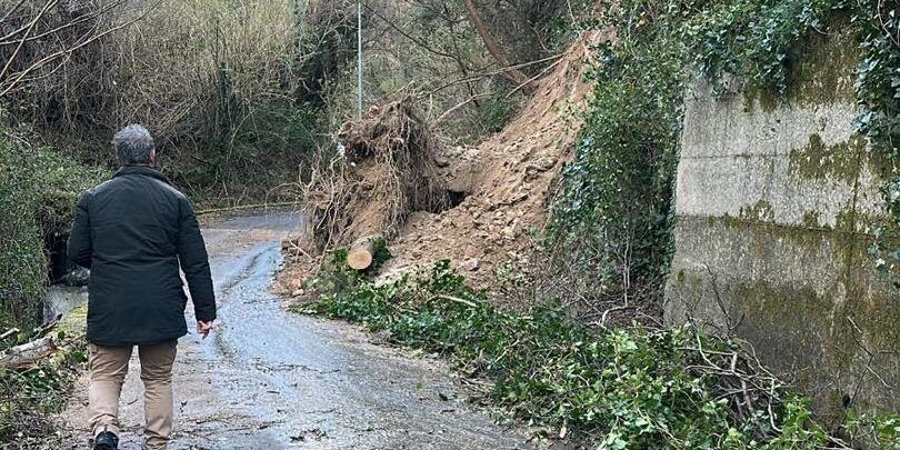 Maltempo sul Tirreno cosentino: frane, alberi caduti in strada e sottopassi allagati – FOTO