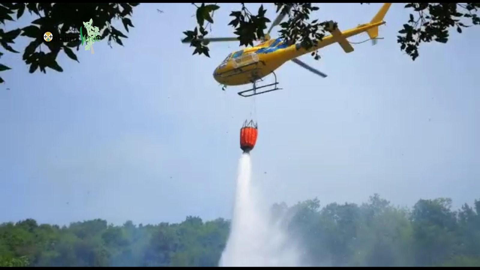 Incendio tra Sangineto, Belvedere e Sant’Agata D’Esaro: Calabria Verde in azione