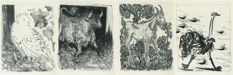 Quattro opere di Picasso al Maca di Acri