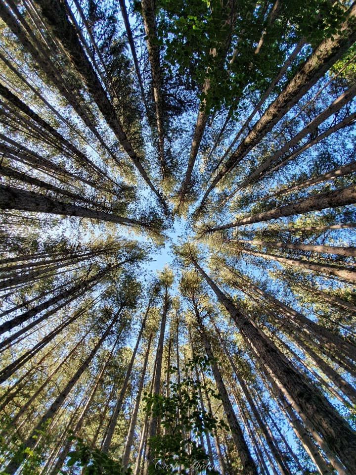 Parchi e turismo sostenibile, incontro a Camigliatello