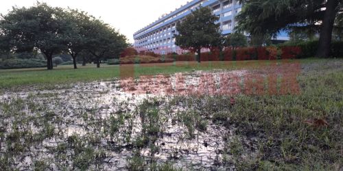 lamezia fogna ospedale