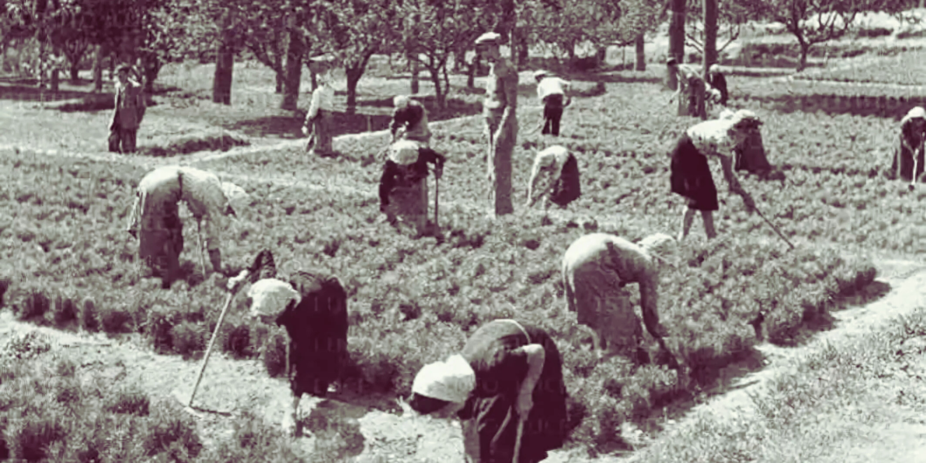 Calabria globalizzata, l’agonia silenziosa dell’identità e il sentiero dell’alternativa