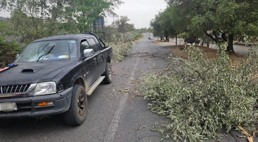 Tromba d’aria nel Cosentino, un albero finisce su un’auto
