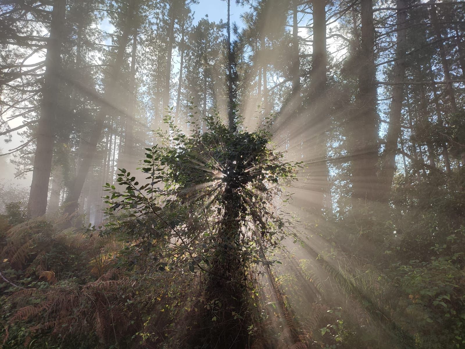 «Nella regione dei prodigi naturali»