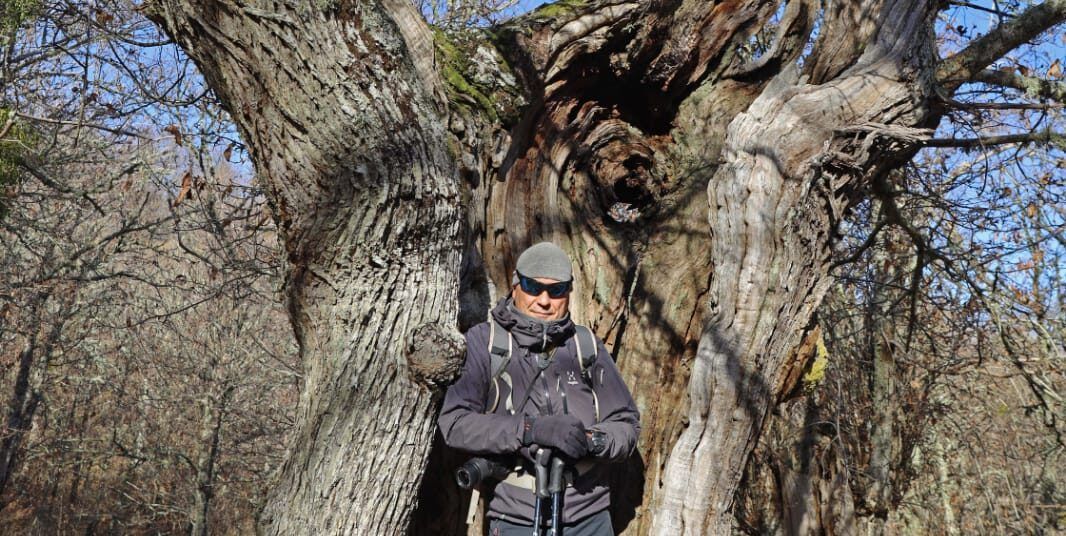L’Anello dei Giganti, domenica l’escursione nel cuore e nelle suggestioni del Reventino