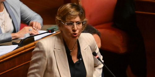 giulia bongiorno ddl stupri