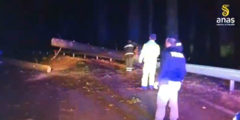 Maltempo nel Vibonese, albero cade su un’auto: un ferito a Serra San Bruno