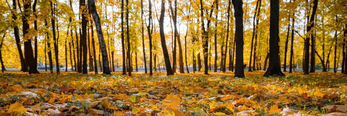 Ottobre come a fine agosto. E farà caldo anche a novembre