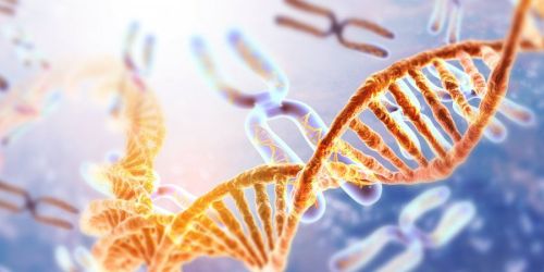 La ricerca per ridurre la complessità del genoma umano passa (anche) dalla Calabria