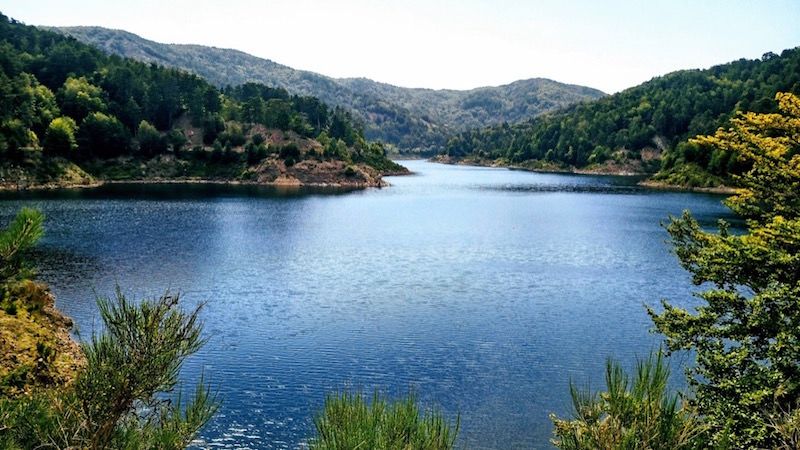 Comunità del Parco dell'Aspromonte, il sindaco Pezzimenti è il nuovo Presidente