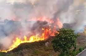 Emergenza incendi, dubbi e sospetti