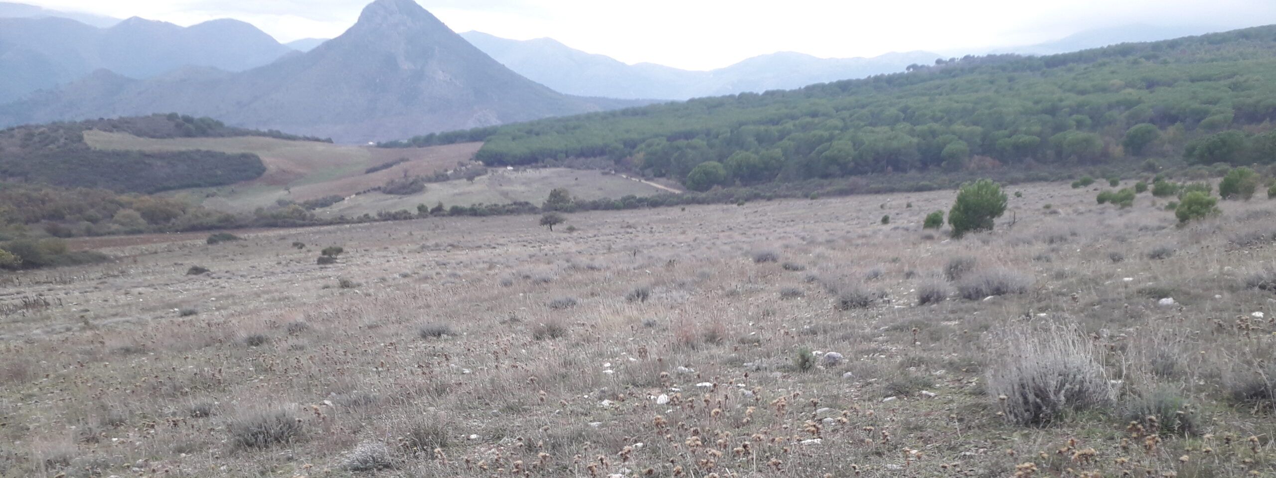 «L’area della “Petrosa” potrebbe diventare un’occasione di reddito anche per le nuove generazioni»