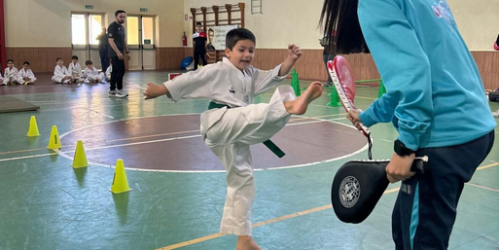 Taekwondo Calabria