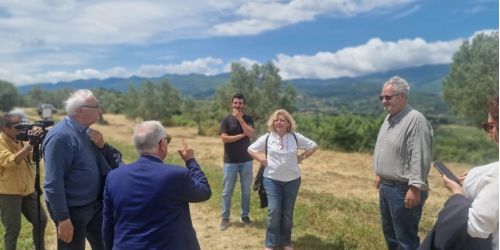 Consorzio Olio di Calabria Igp, il presidente Magliocchi incontra i giornalisti nazionali di settore