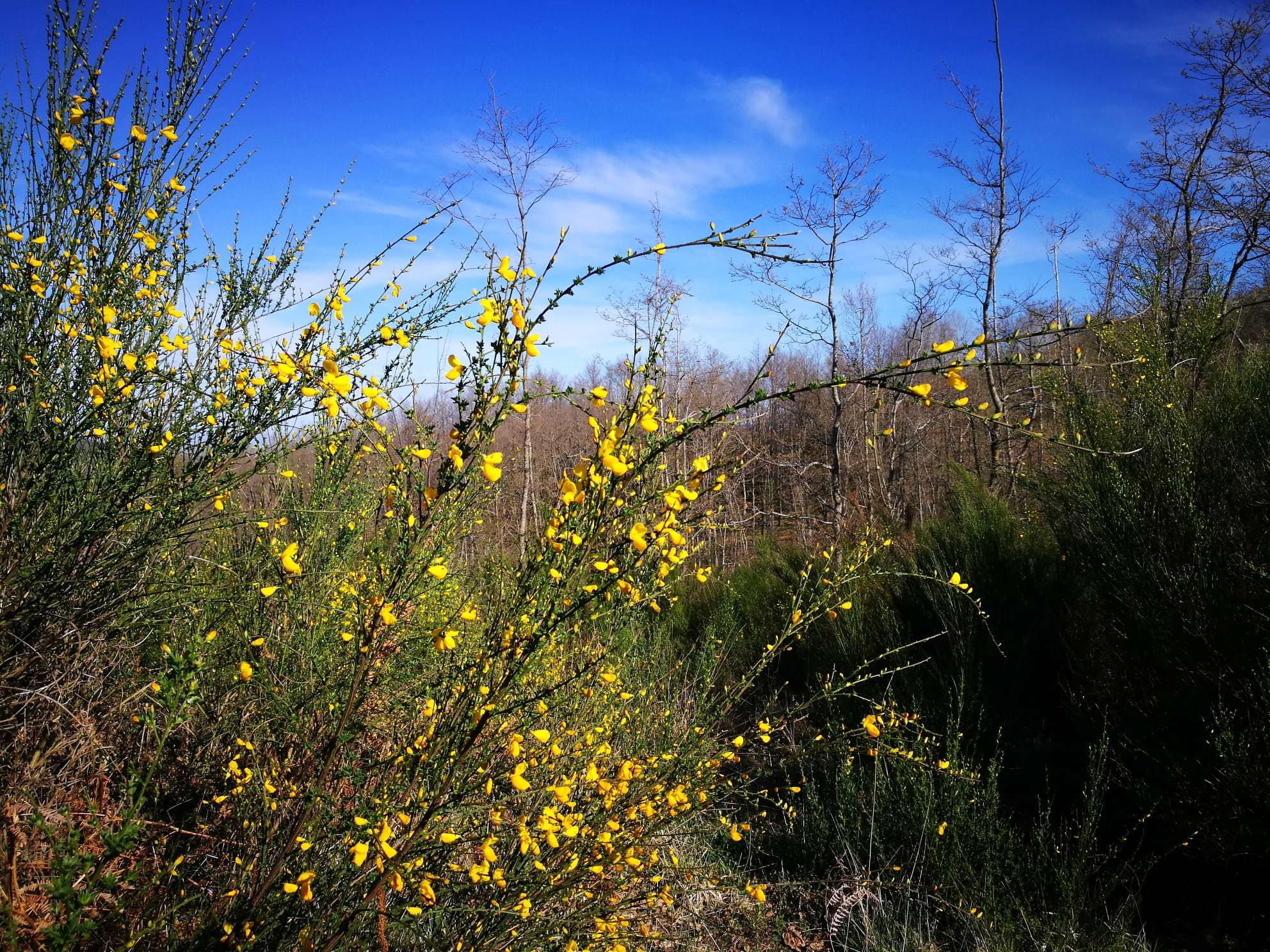 «Un uomo di nome Francesco»