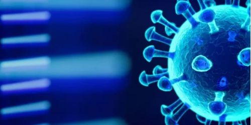 covid-calabria-bollettino