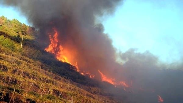 Tenta di spegnere il rogo nel suo terreno, muore dopo un giorno d’agonia