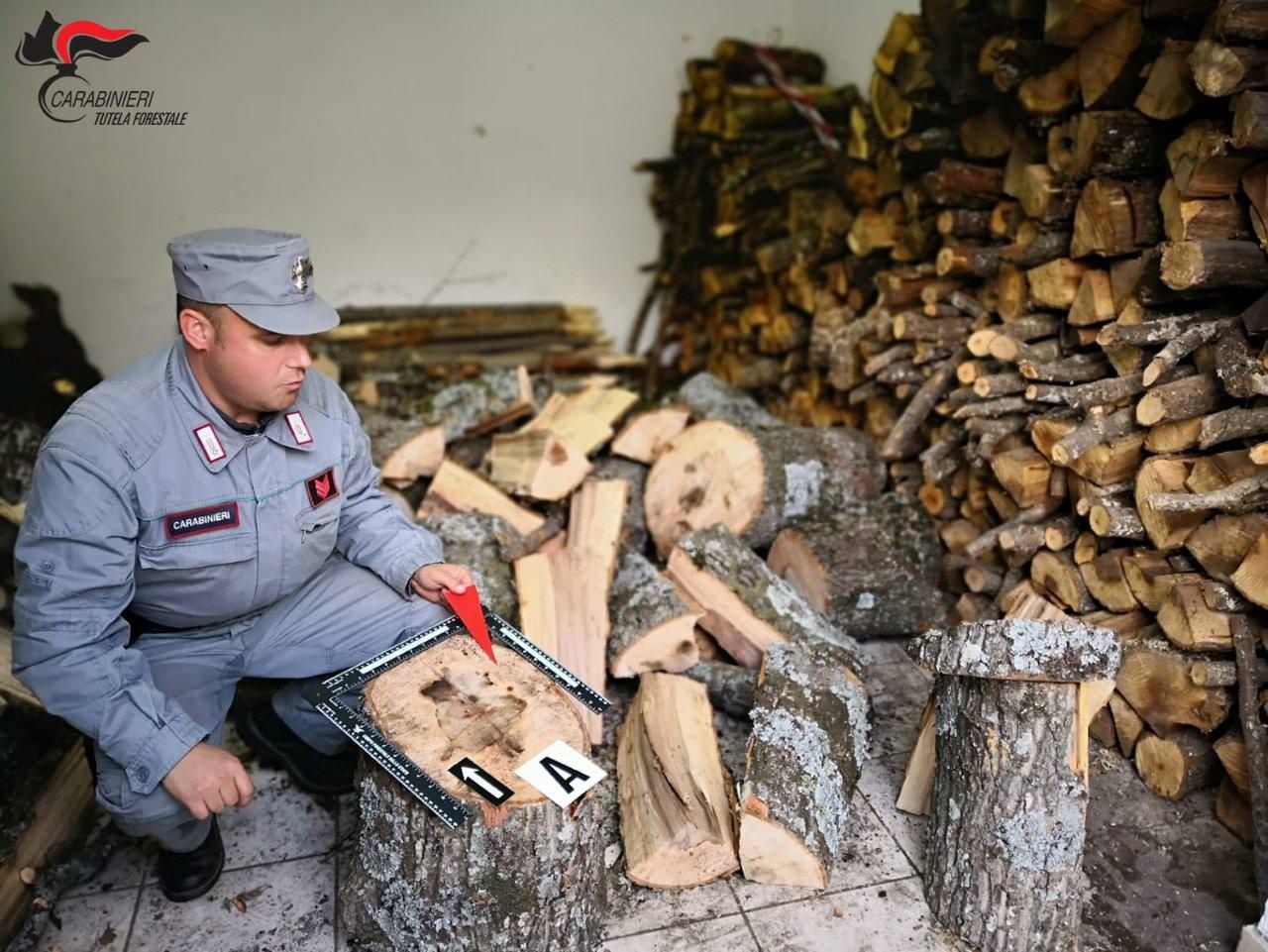 Furto (notturno) di legna a Corigliano Rossano, denunciati due fratelli