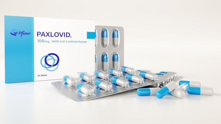 Lotta al Covid, al via da oggi le prescrizioni del Paxlovid