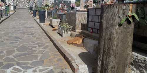 taglio cimitero caloveto cipressi